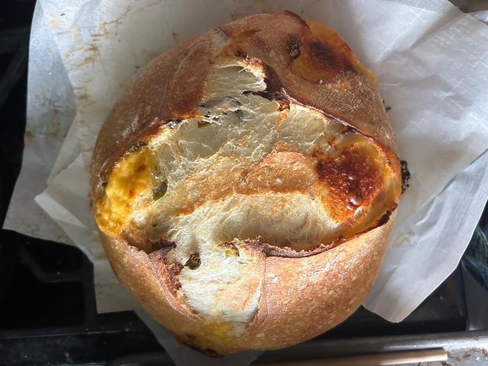 Dehydrated Sourdough Starter