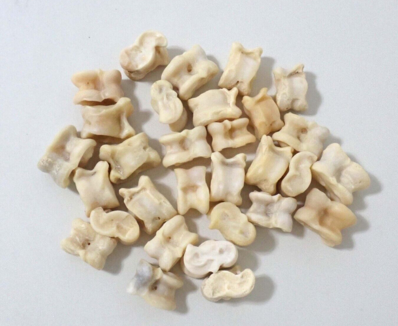 30pcs Mongolian Traditional Shagai Game Sheep Ankle Real Bones KNUCKLEBONES GAME