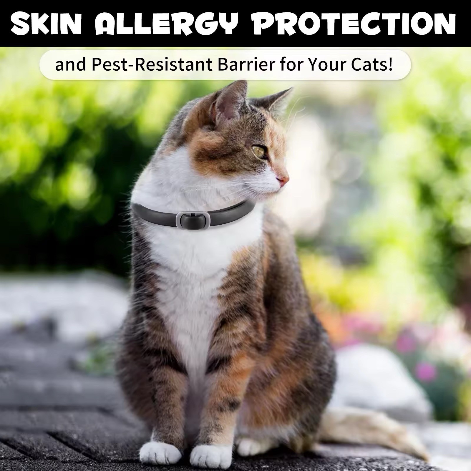 Cat Flea Collar Treatment Pet Adjustable 24 Month Protection 4 PACK black COLLAR