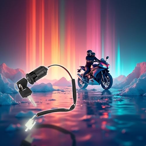 Ignition Switch Key Set, 2 Positions On and Off, Plastic, Direct Replacement,