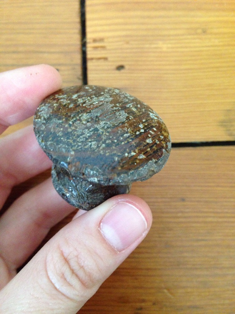 Mixed Lot 10 Antique Vintage Tiger Oak Cabinet Drawer Pulls Knobs Various Sizes