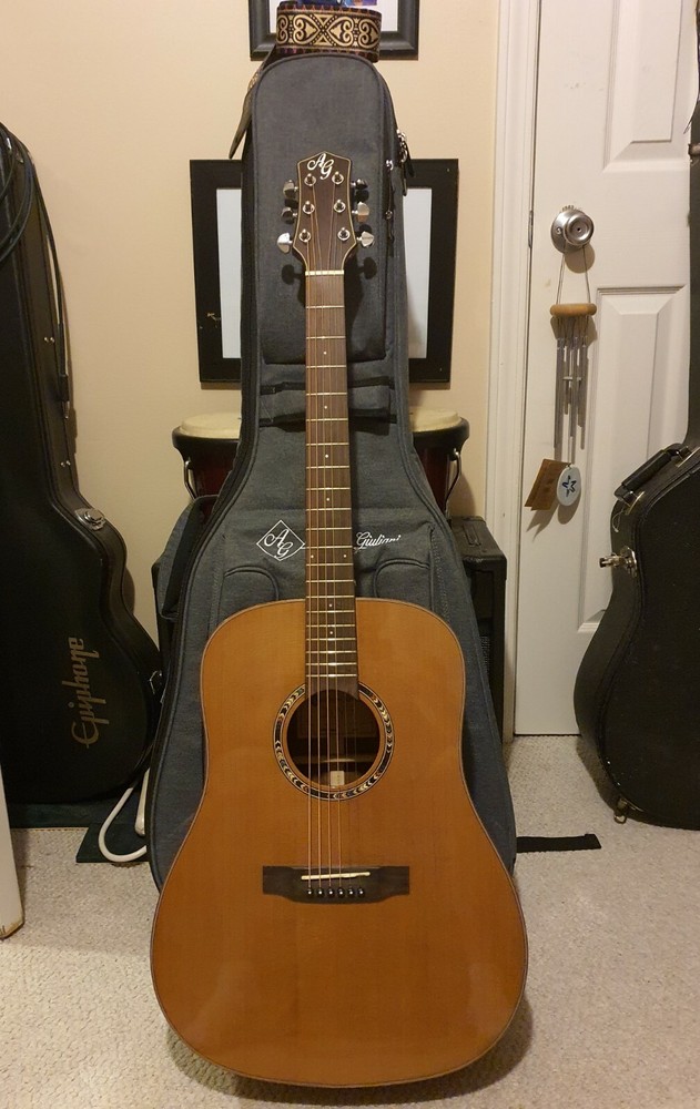 Antonio Giuliani DN-5 Acoutic Guitar