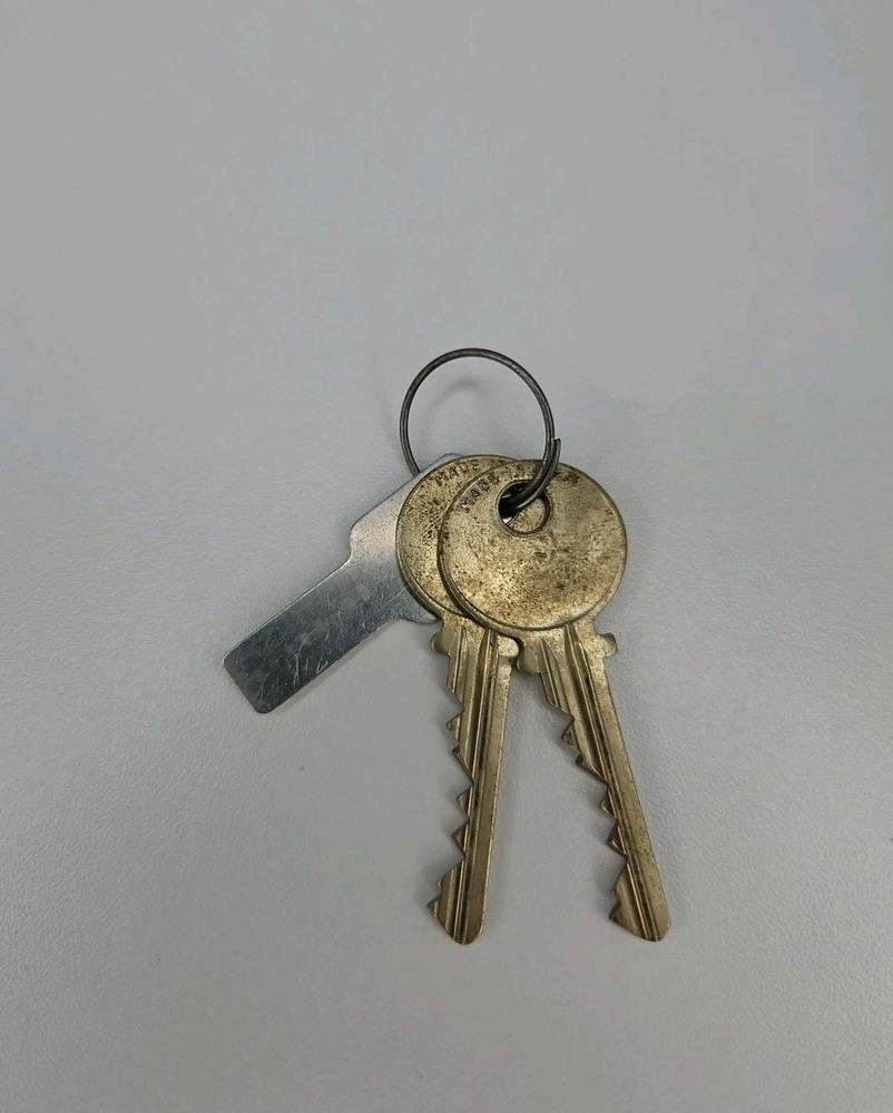 Medeco The Protector High Security Padlock