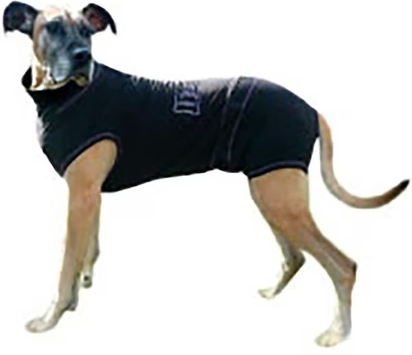 Medipaw Recovery Protective Dog Suit, X-Large