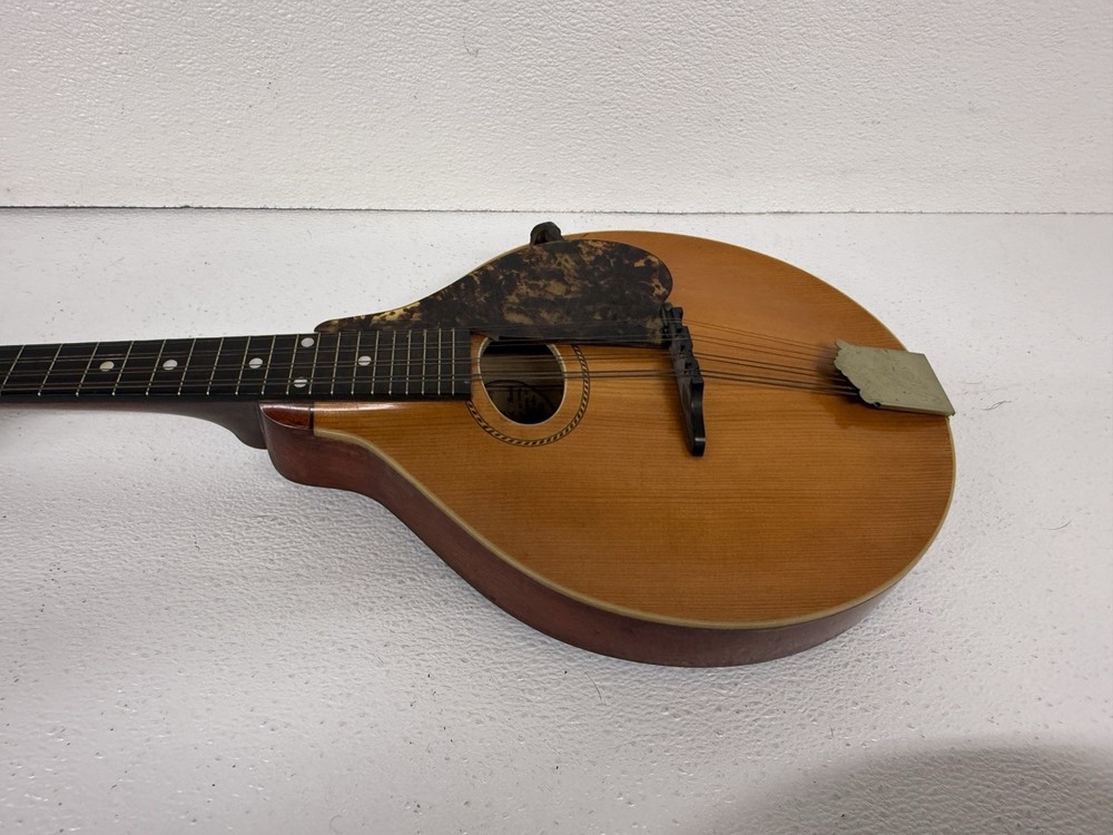 Gibson Mandolin Model A with hard case