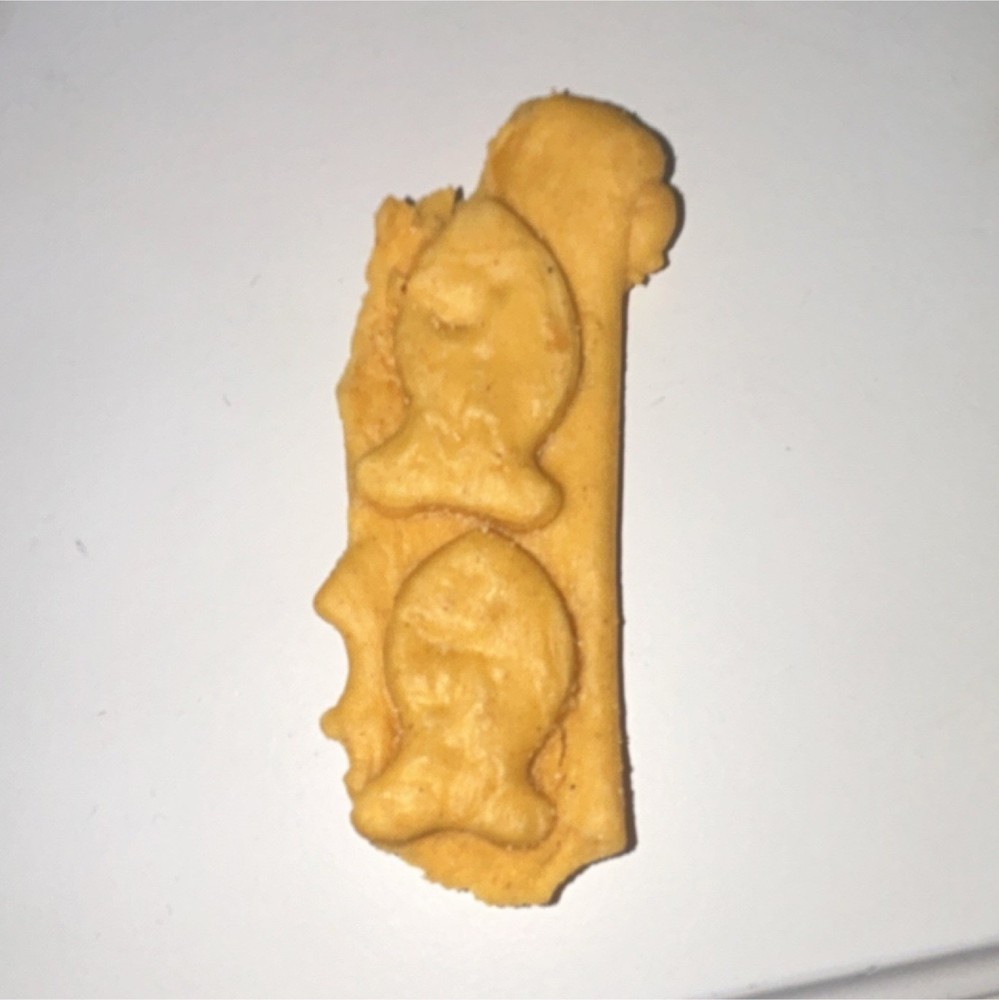 Goldfish 1/1 malfunction