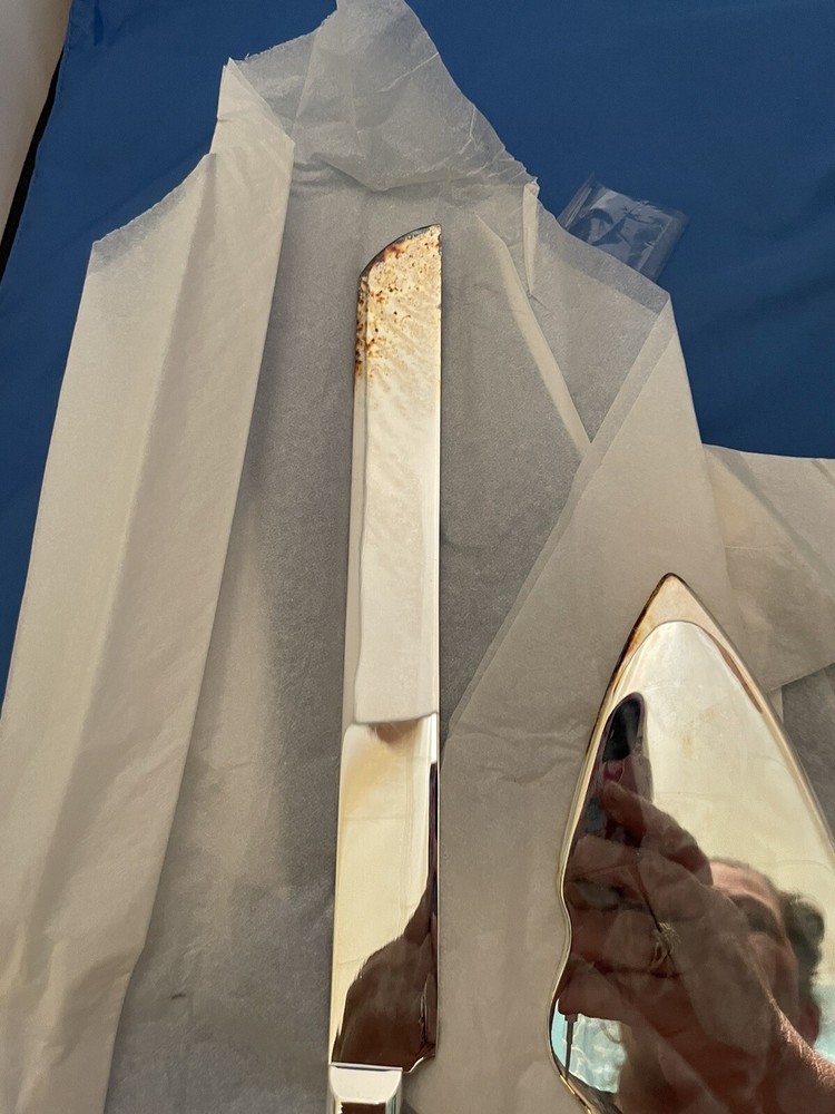 2 Piece Cake / Pastry Server Silver!