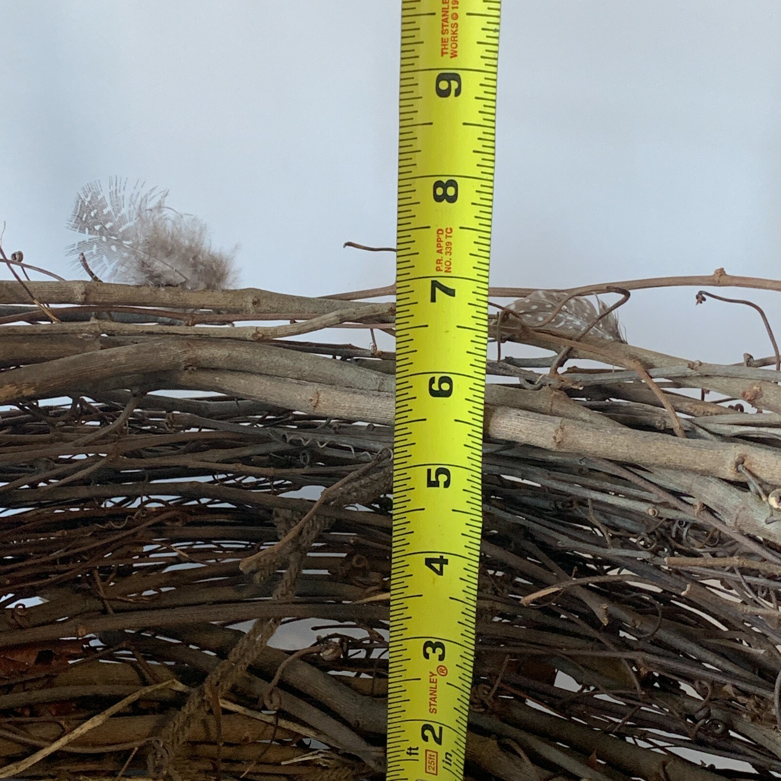 Twig Newborn Baby Nest Feathers Photography Props Photographer Handmade