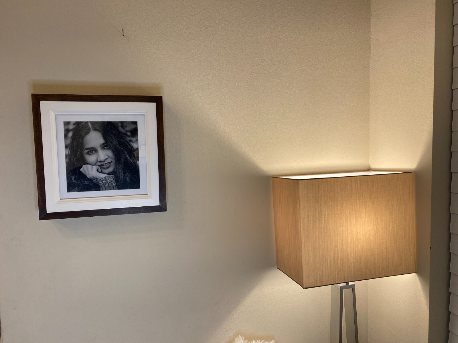 Hidden Gun Storage, add your personal photo $99.99 (Free SHIPPING)