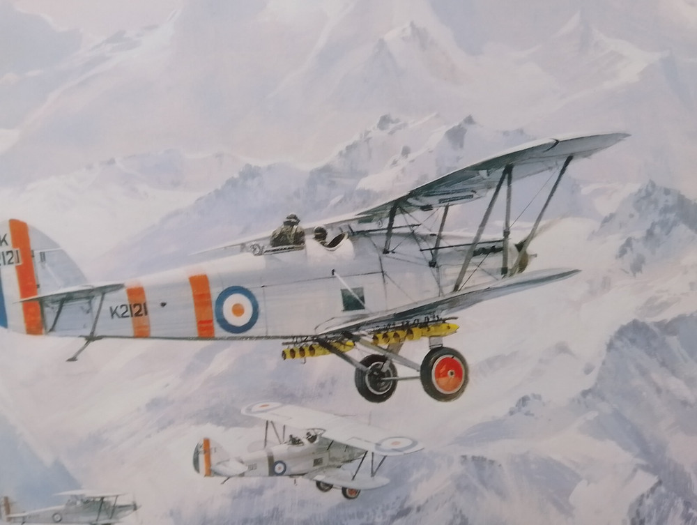 Michael Turner Aircraft print 'Hawker Hart' FRAMED