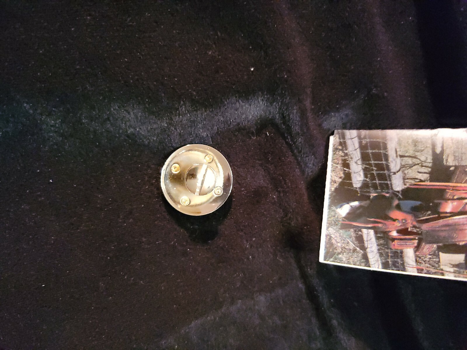 Colorado Saddlery 1 in Barbwire w longhorn Concho 1 New.