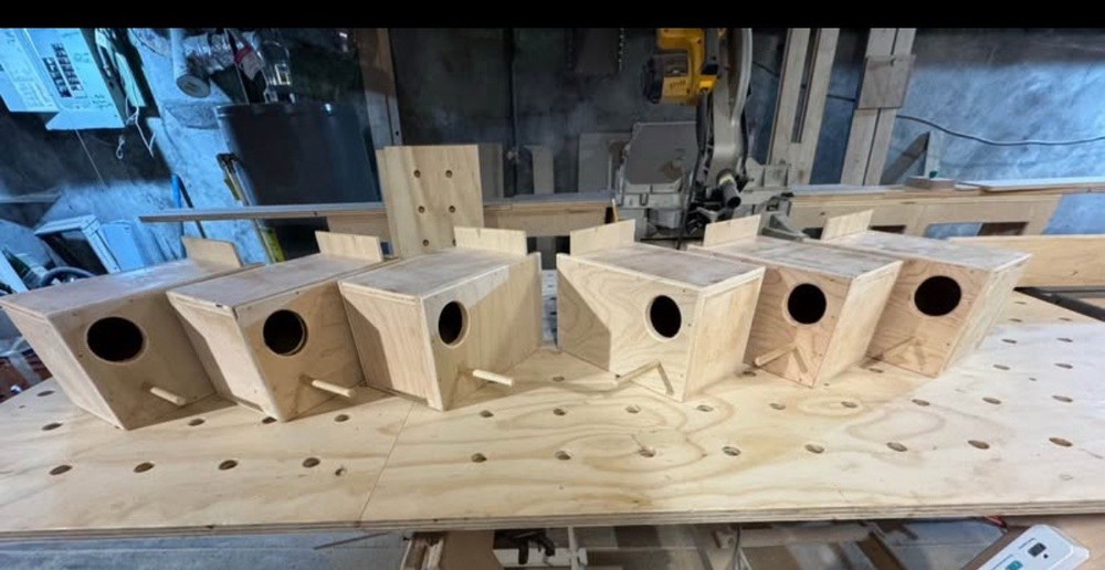 Parakeet Nesting Boxes