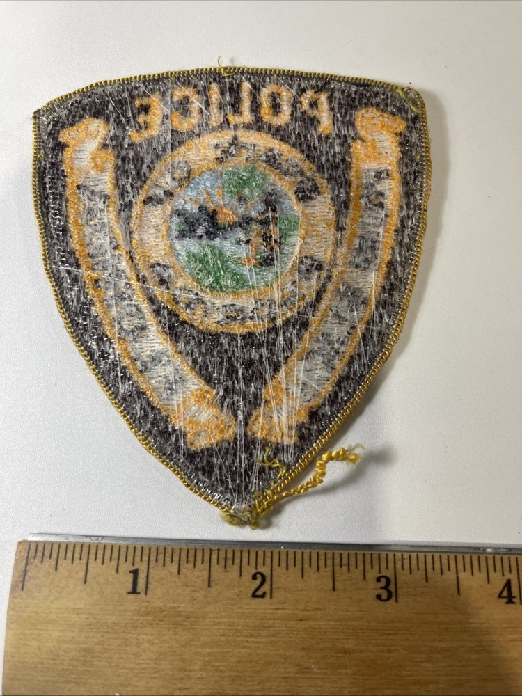 Florida Palm Beach Police Patch
