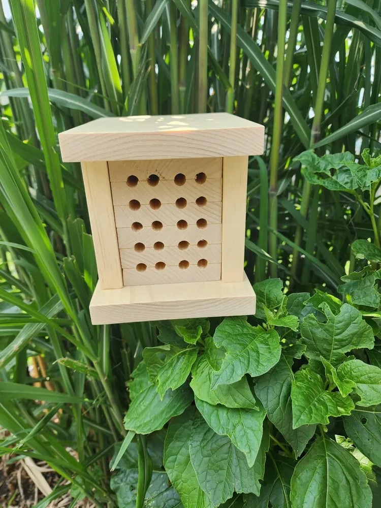 Mason Bee Pollinator House