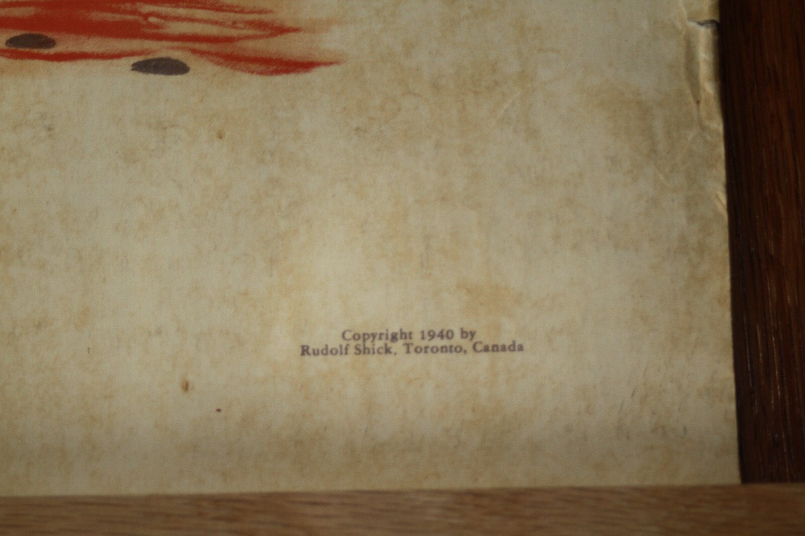 Rare Vintage 1940’s Scientific Medical Classroom Canvas Poster Chart of Skin