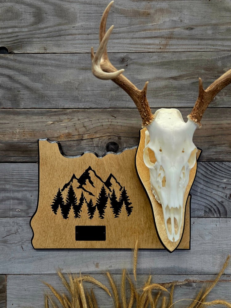 European skull state mount