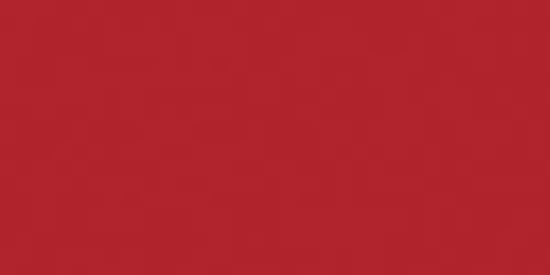 All-Purpose Plastic Zipper 12" Red