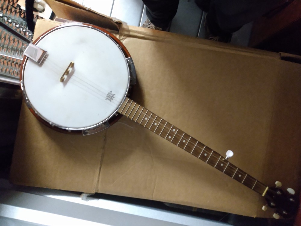Banjo Danville Remo 5 Strings