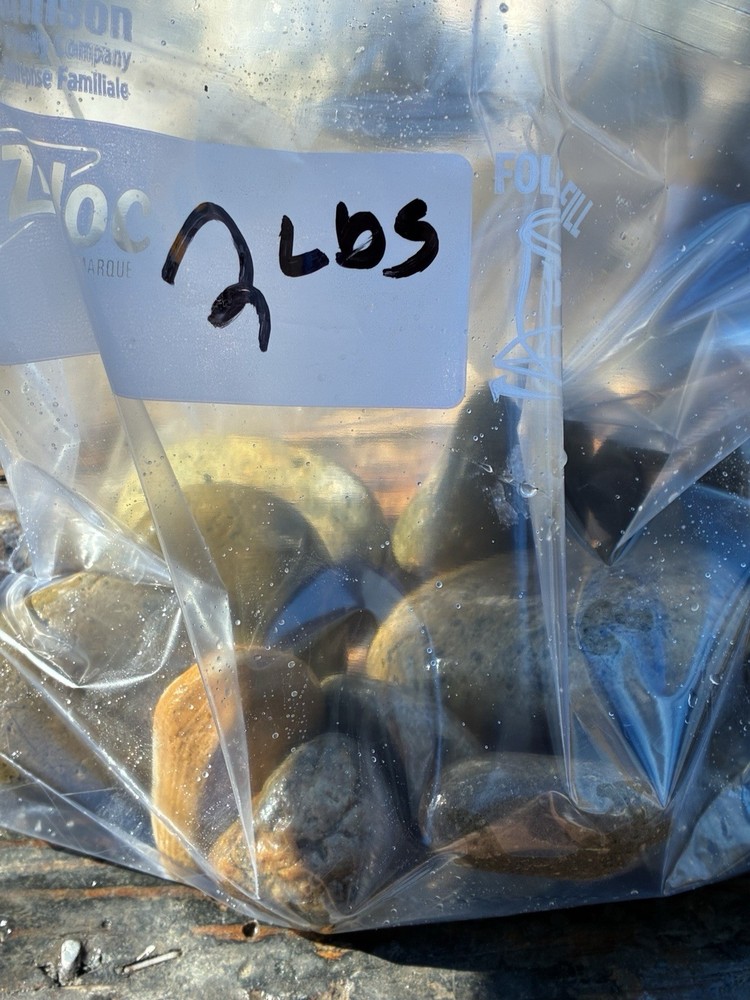 Rocks for Tumbling Lapidary Material Rough