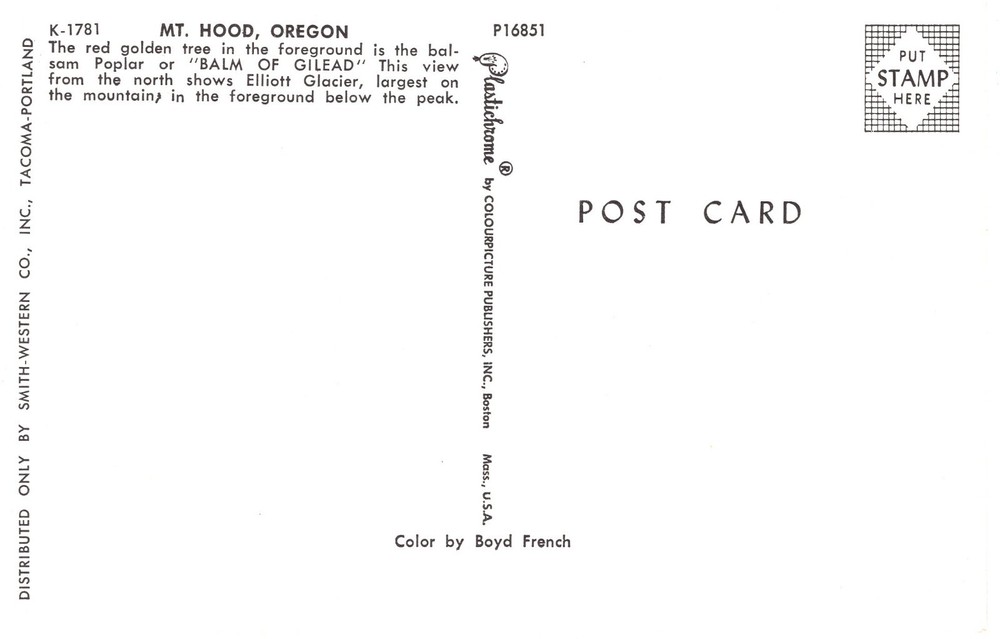 MT. HOOD, OREGON - PC4435