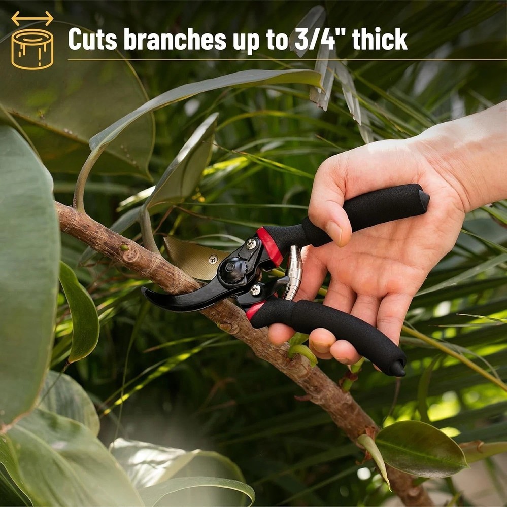 - Pruning Shears Garden Shears 8 Professional Titanium Blade Garden