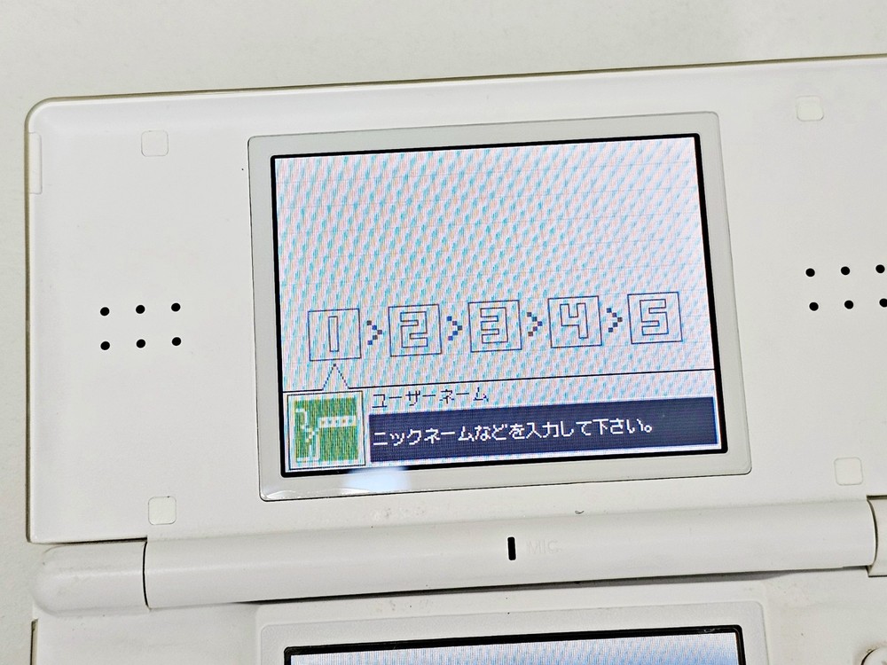 Nintendo DS Lite Console White 765