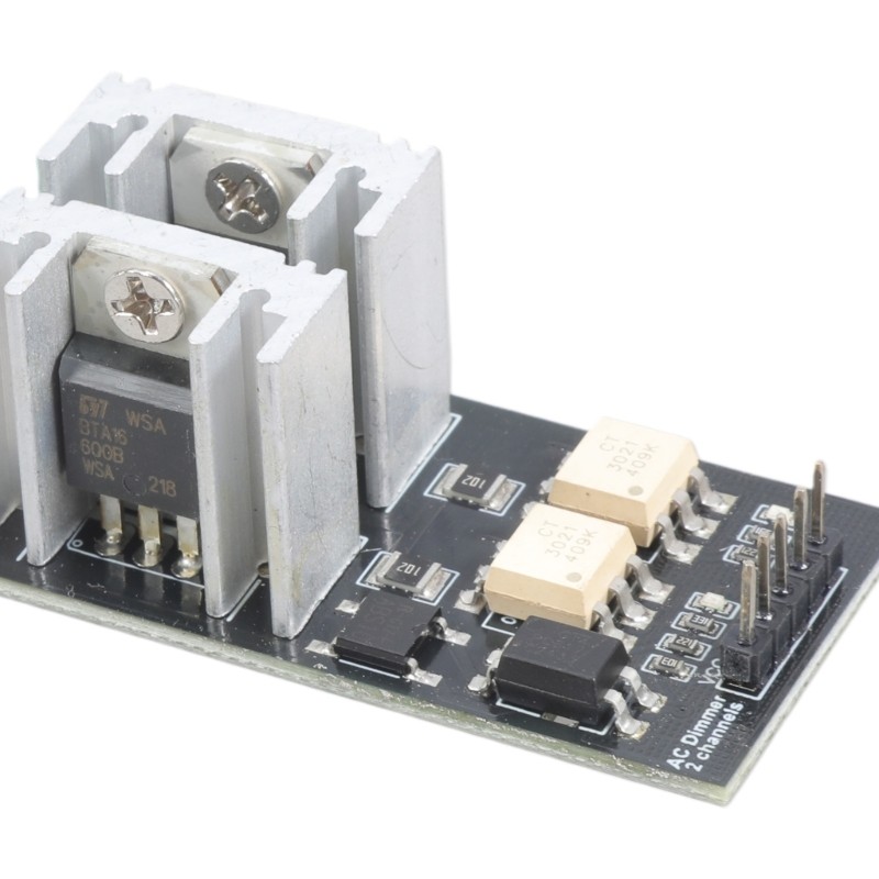 AC Power Module Isolated Design Double Output For Microcontroller Integration