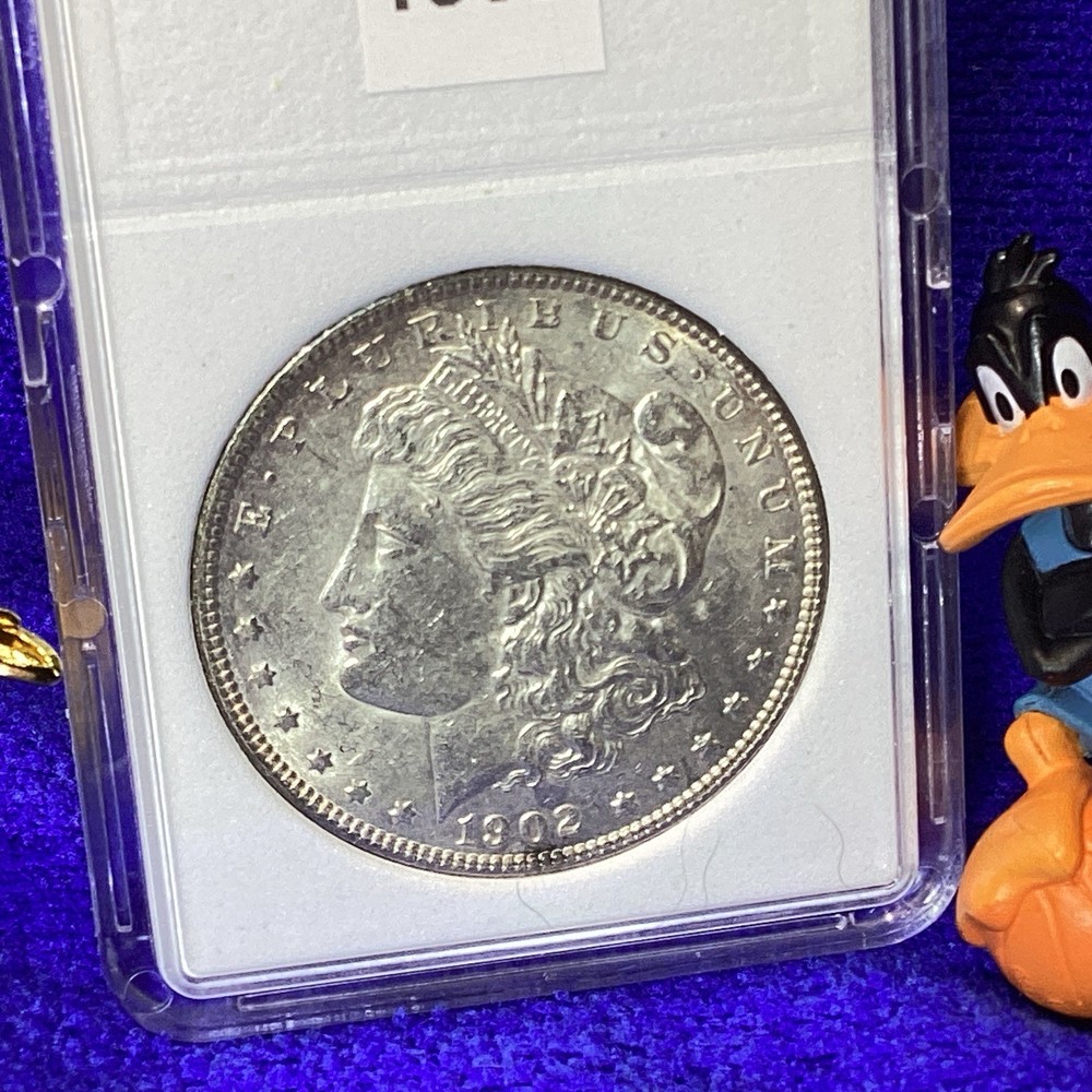 1902 MORGAN SILVER 💰 UNCIRCULATED in BCW SLAB