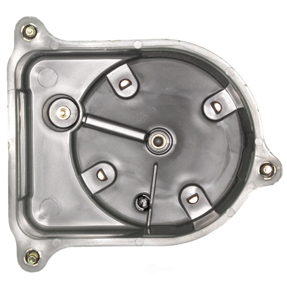 Distributor Cap-Premium WVE 5D1004A