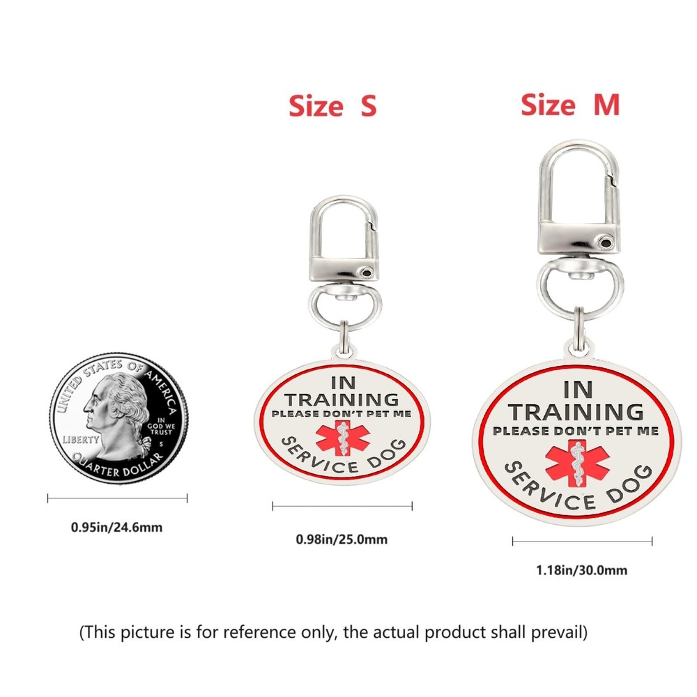 in Training Patch 2 Pcs, in Training Tag Removable to Collar, Harness Medium-...