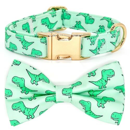 Dog/Cat Bow Collar Pattern, Small (10" - 16") S (10 --16") Green Dinosaur