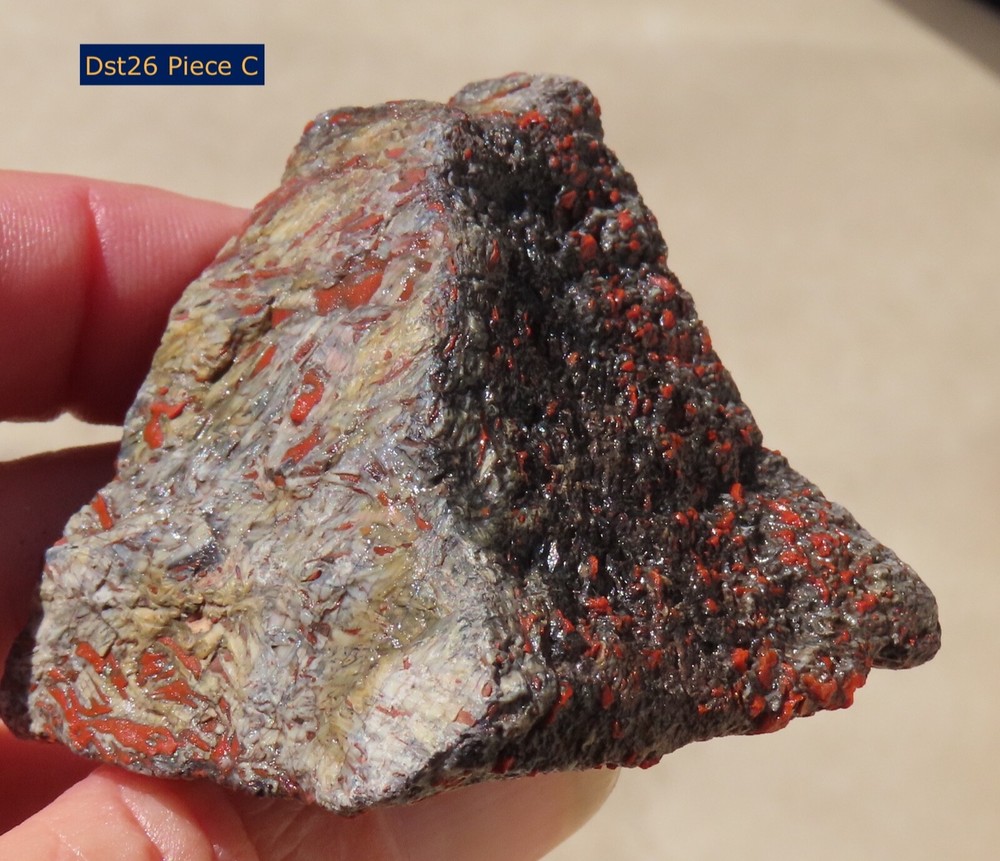 Fossil Dinosaur Gem Set- Dst26- Three pieces- Jurassic/Morrison Formation