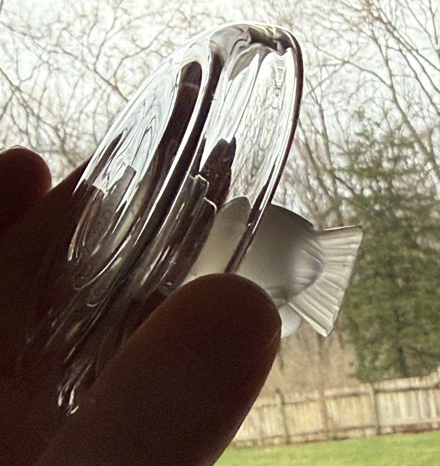 Lalique Pinson Finch 1970s Art Glass Ring Dish Clear & Frosted Crystal 2” Tall