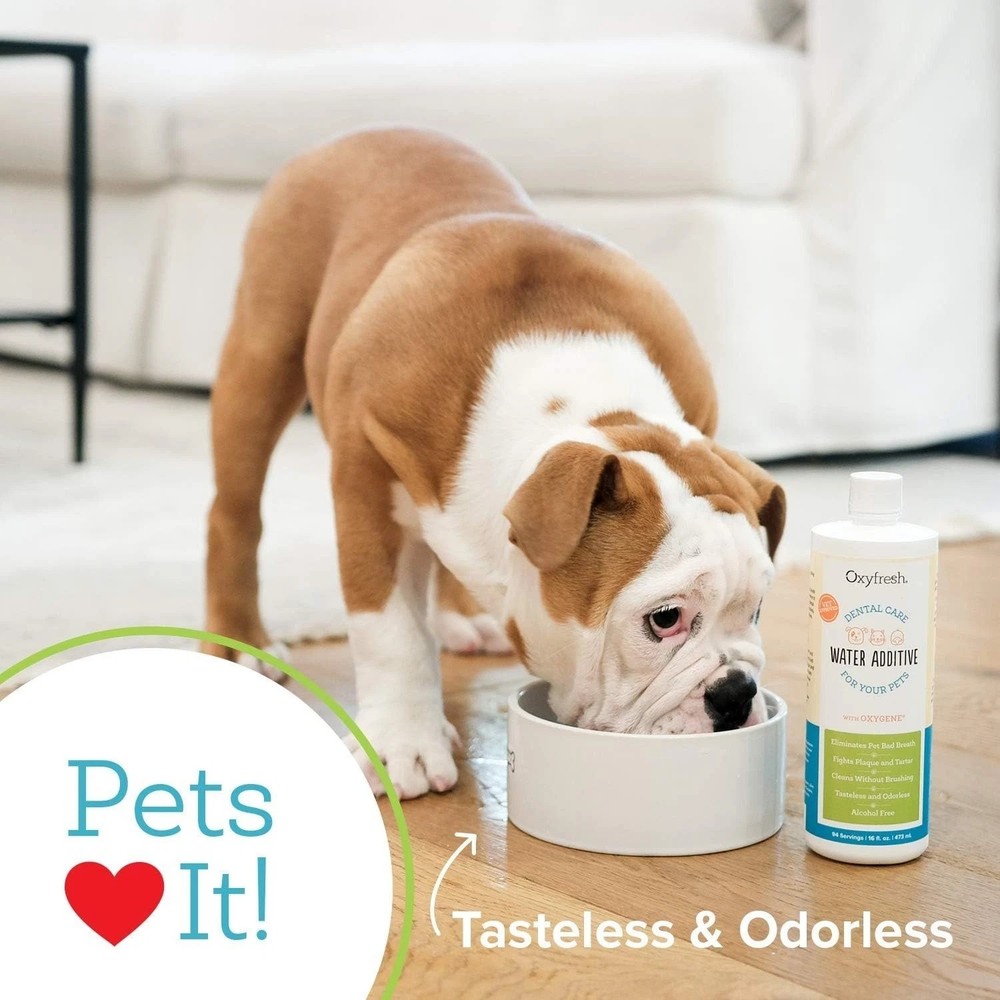 Odorless Dental Water Additive - 2 Pack-