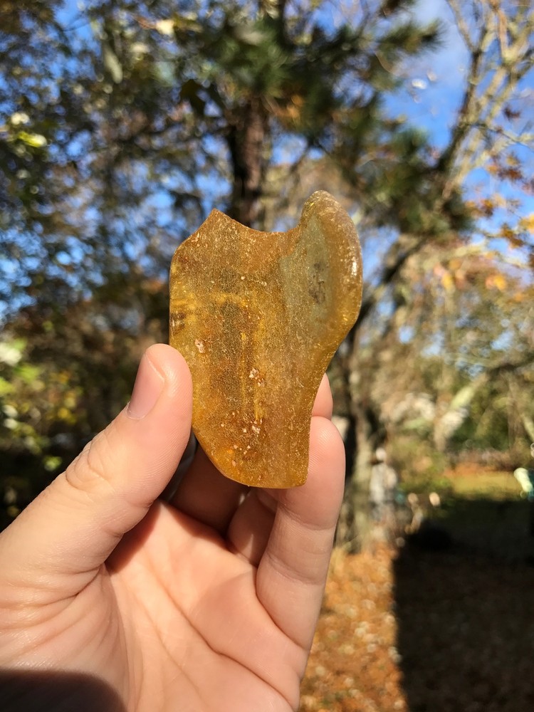 Baltic Amber