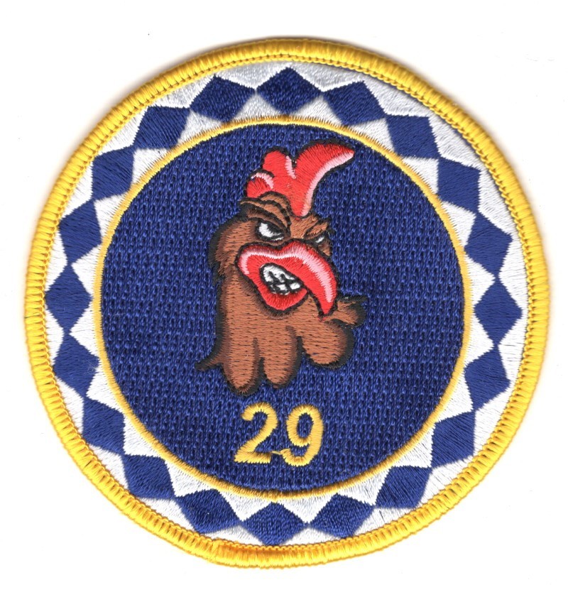 USAF Air Force Patch:   29th Test Support Squadron - 3 1/2"
