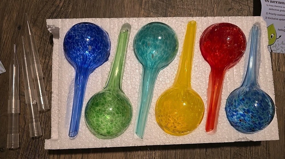 plant water globes