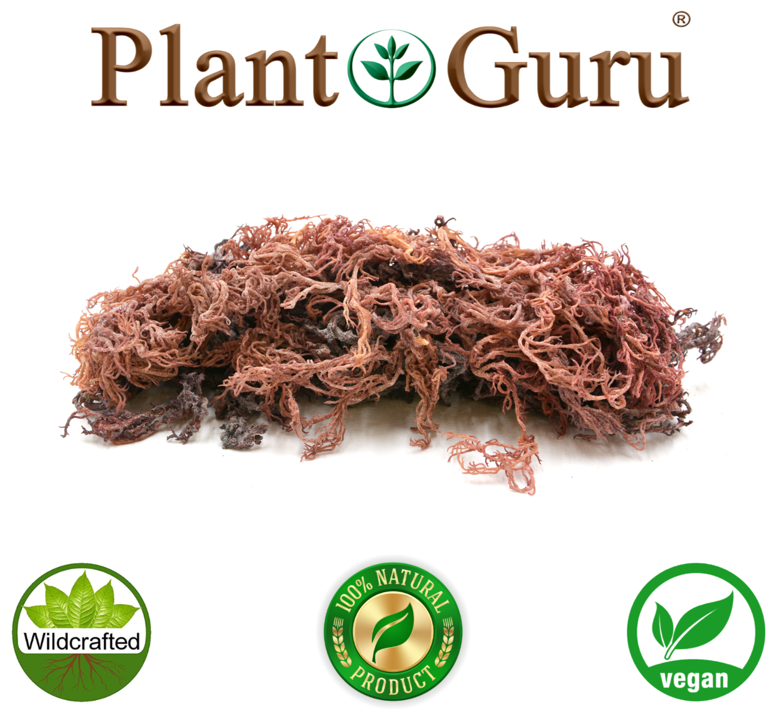 Purple Sea Moss St Lucia / Dr Sebi Irish Moss Wildcrafted 100% Pure Raw