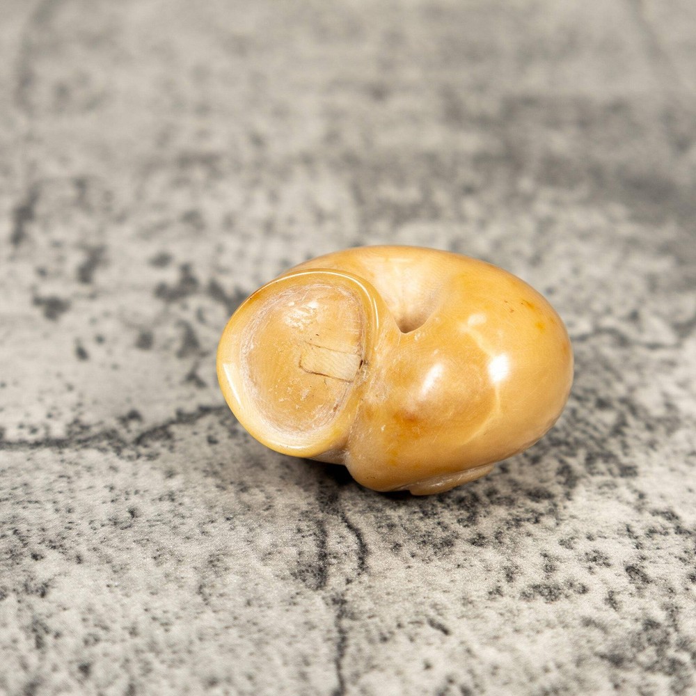 Natural White Seashell Tagua Carving