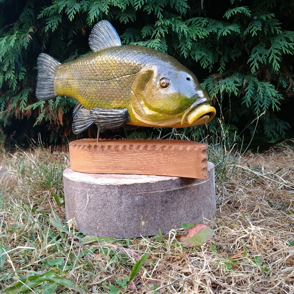Tench Fishing , fish