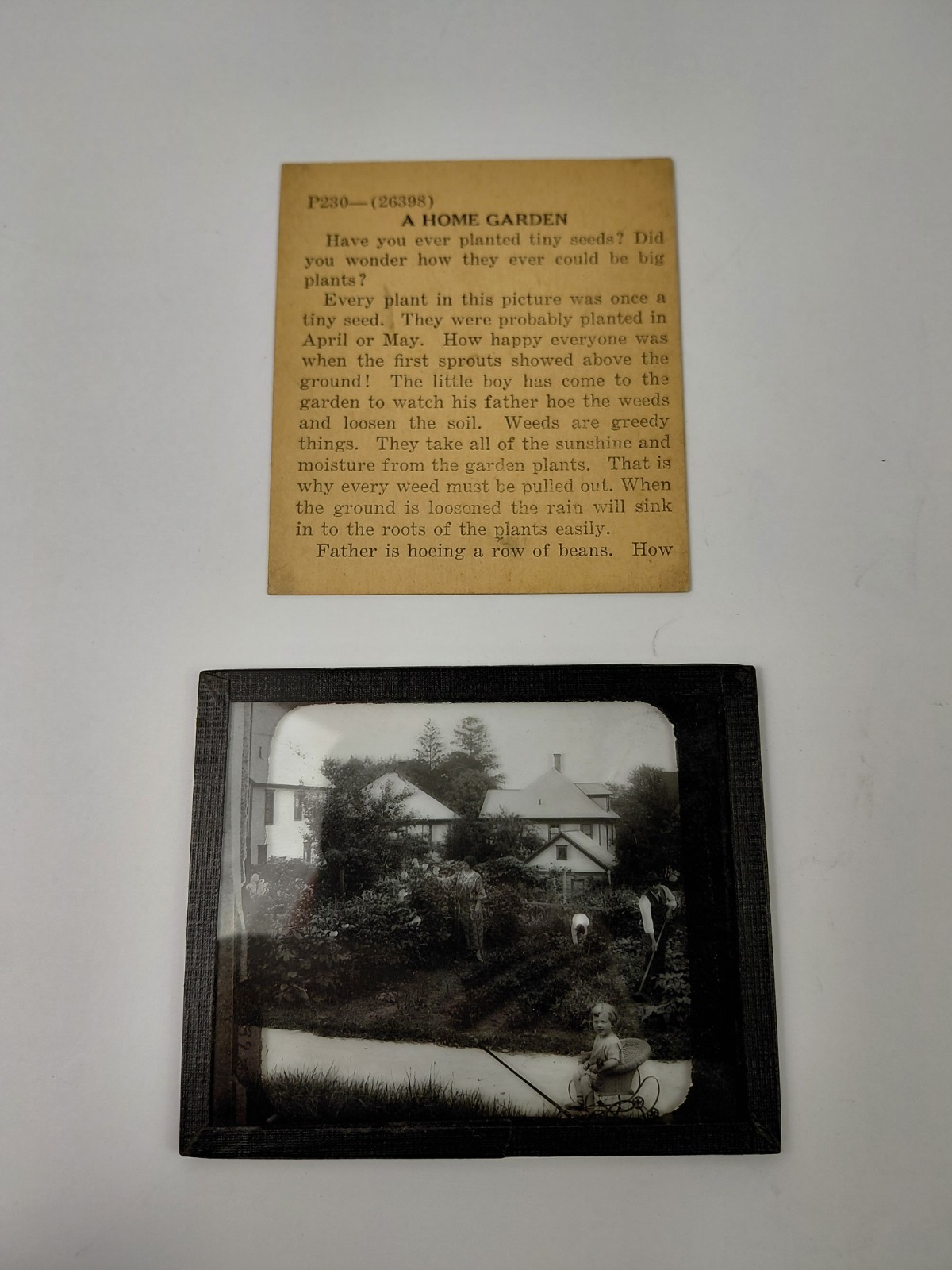 Magic Lantern Glass Slide Photo Keystone P230 An American Home Garden