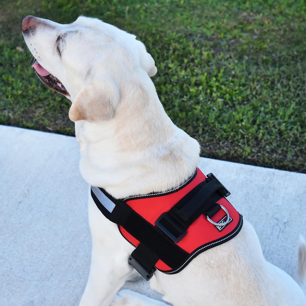 Red Reflective No-Pull Adjustable Dog Harness with Handle Girth 27-34 in