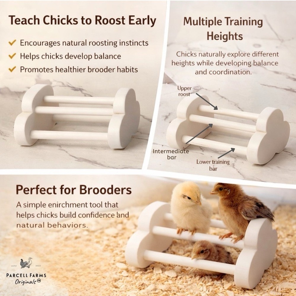 Parcell Farms Chicken Roosting Bar | Multiple Training Heights | Brooder Tool