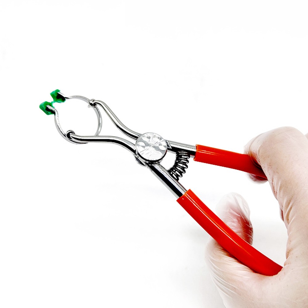 Dental Forceps Sectional Contoured Matrices Matrix Delta Ring Clamp Plier Holder
