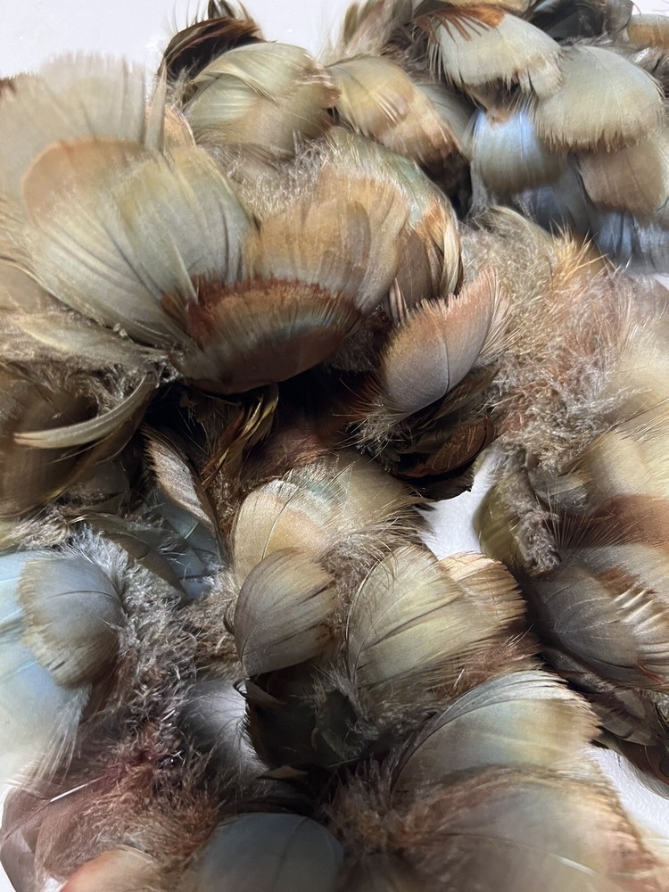 feathers for cowboy hats
