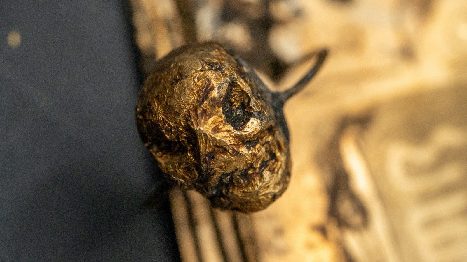 Bronze Book From Guerrero Mexico Ojuelos Buga Mark Evolution