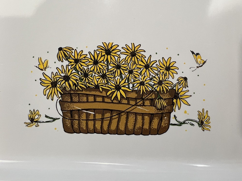 RARE Sterilite Trays-8