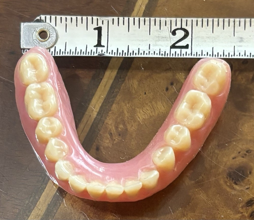 Vintage False Teeth Dentures Upper & Lower Oddities Weird