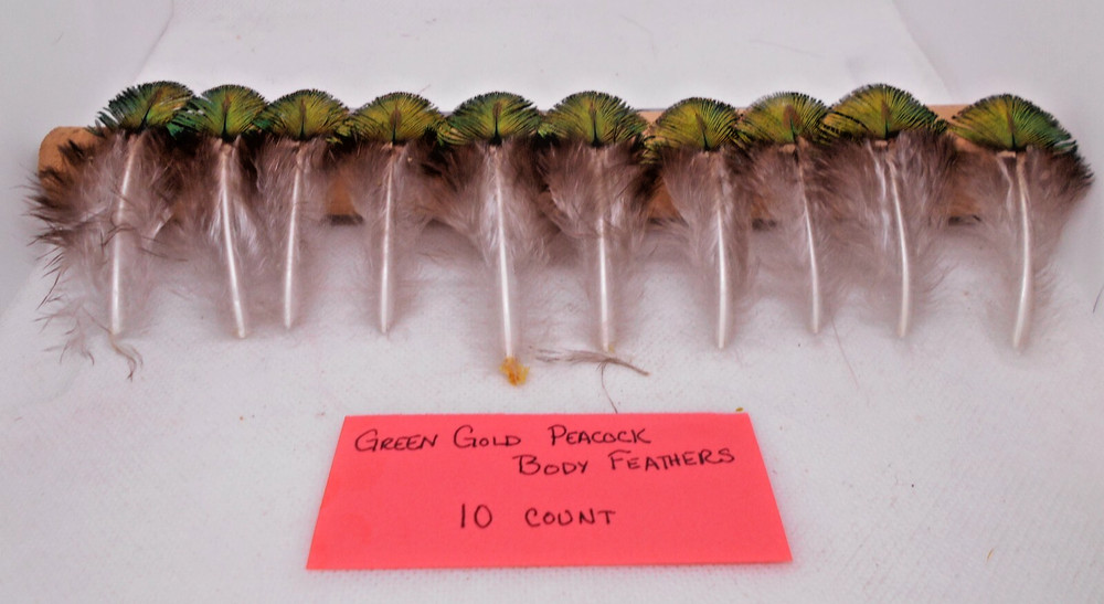 Assorted Peacock Feathers for Fly Tying - 6 Options Available