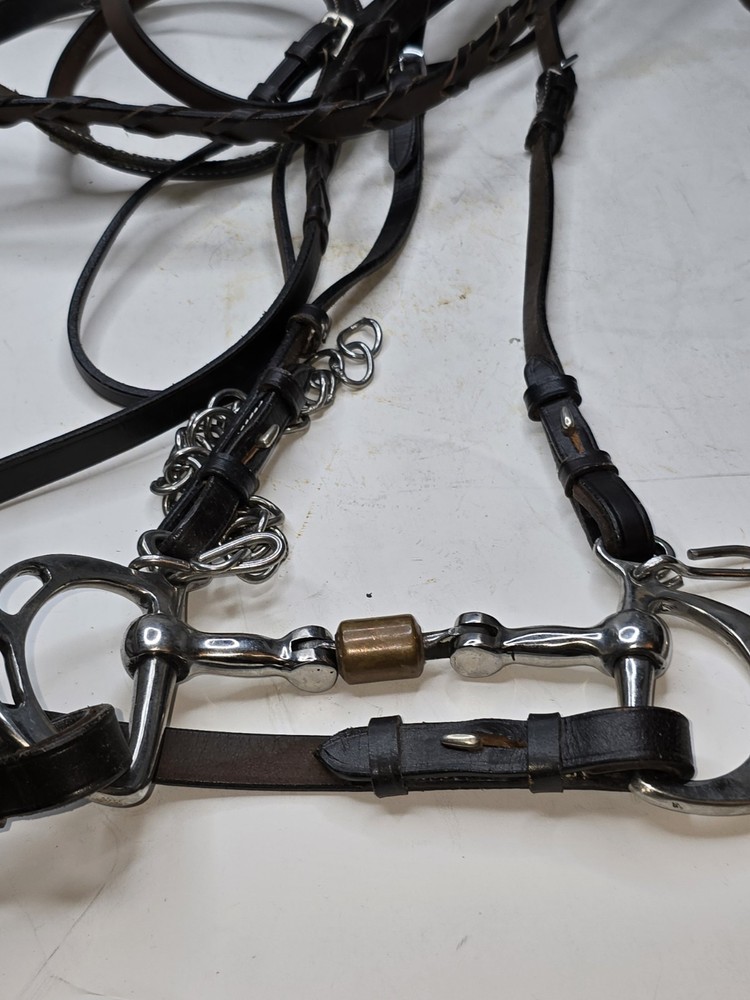 horse bridle with bit